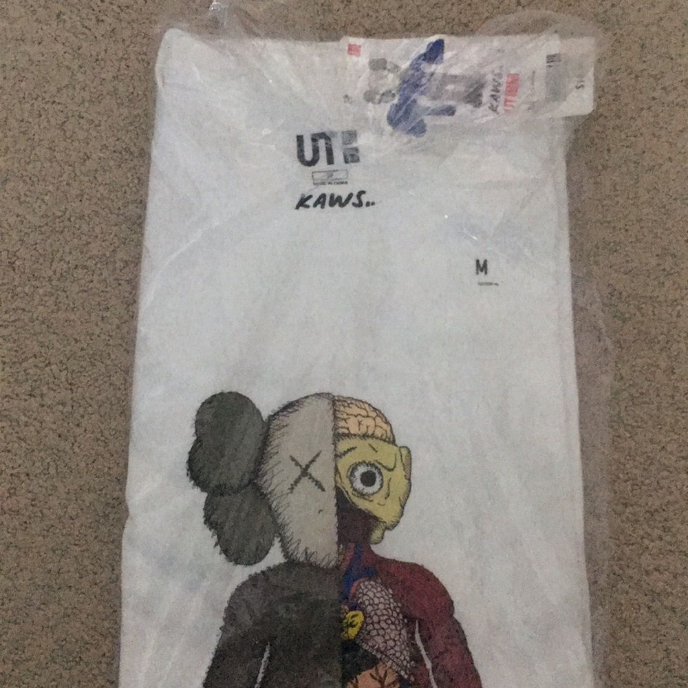 Kaws Uniqlo Anatomy Tee